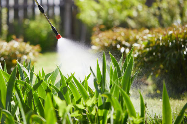 Tamper-Resistant Bait Stations for Rodents in Las Lomas