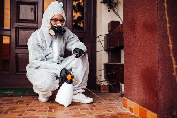 Attic and Crawl Space Rodent Treatment in Las Lomas